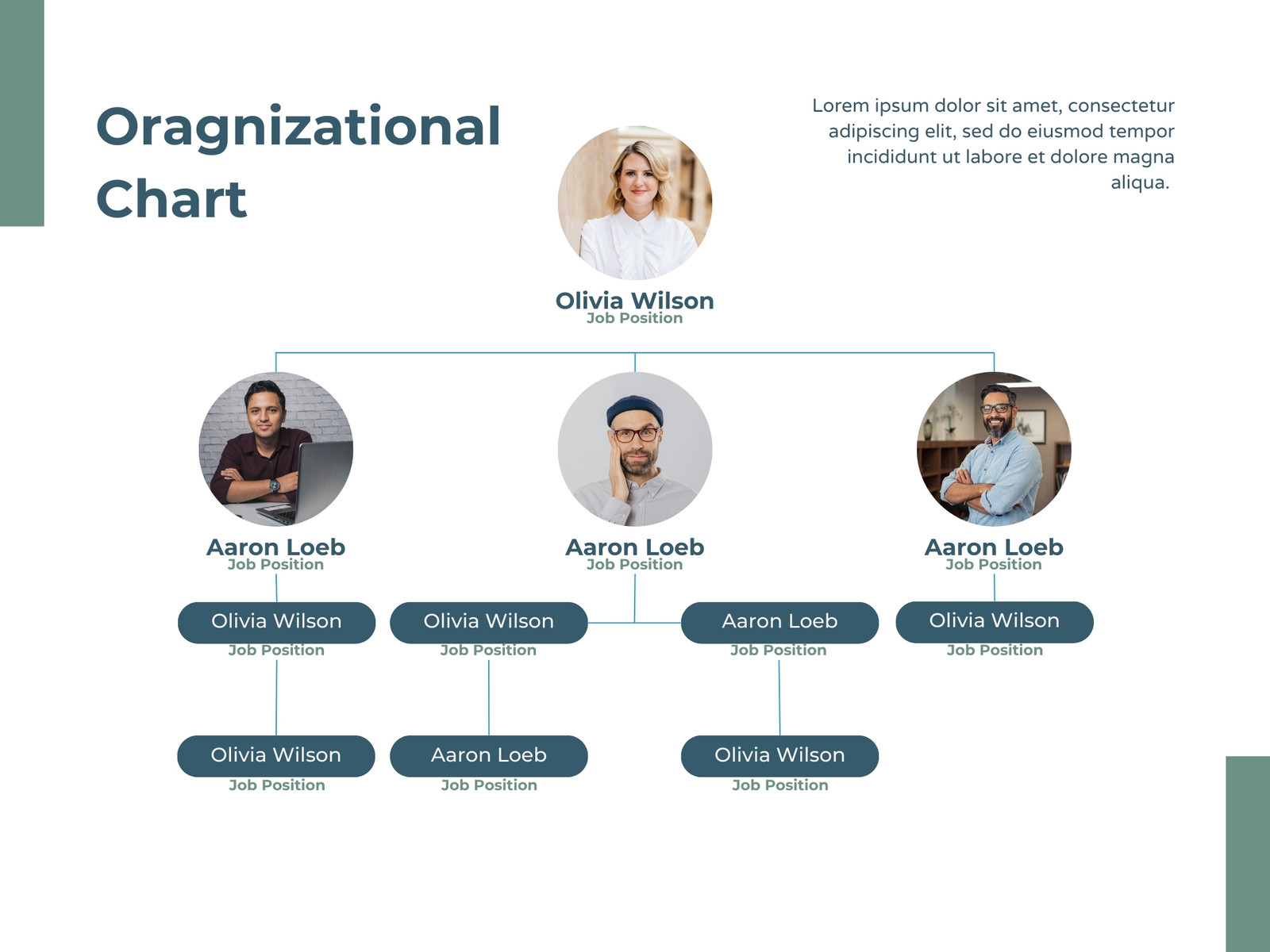 Green Professional Company Organization Graph