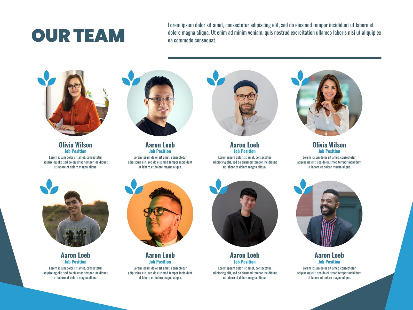 Blue Professional Team Organization Graph