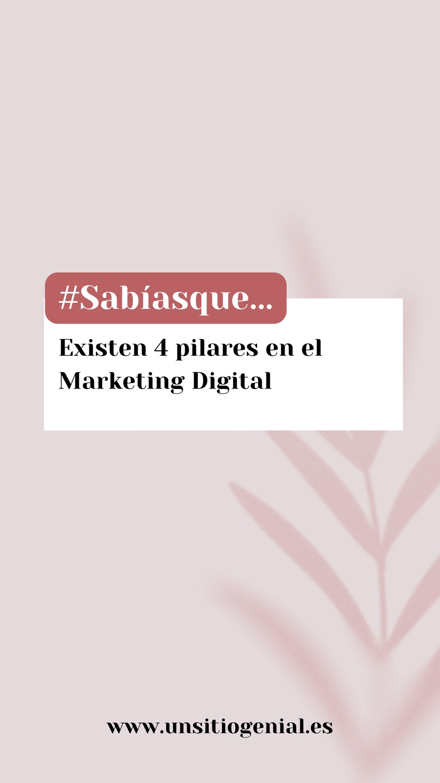 Historias de Instagram Sabías que Marketing Aesthetic y Rosa
