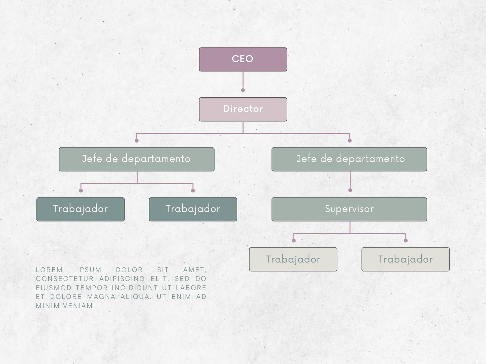 Gráfico Organigrama Equipo Minimalista Verde