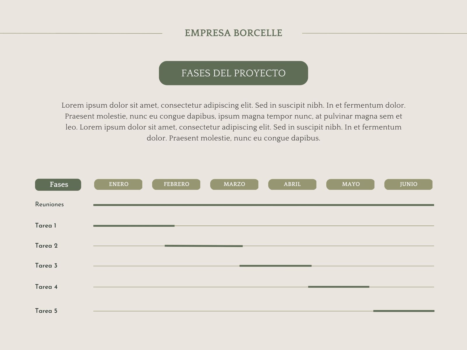 Gráfico Nuevo proyecto Cronograma Profesional verde y crema