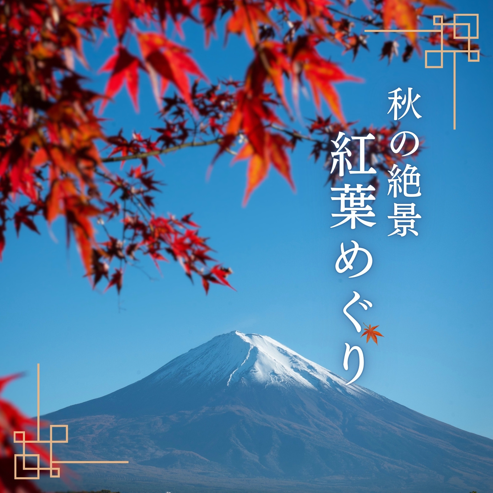 紅葉無料テンプレートデザイン。イラストや画像付きも豊富 - Canva