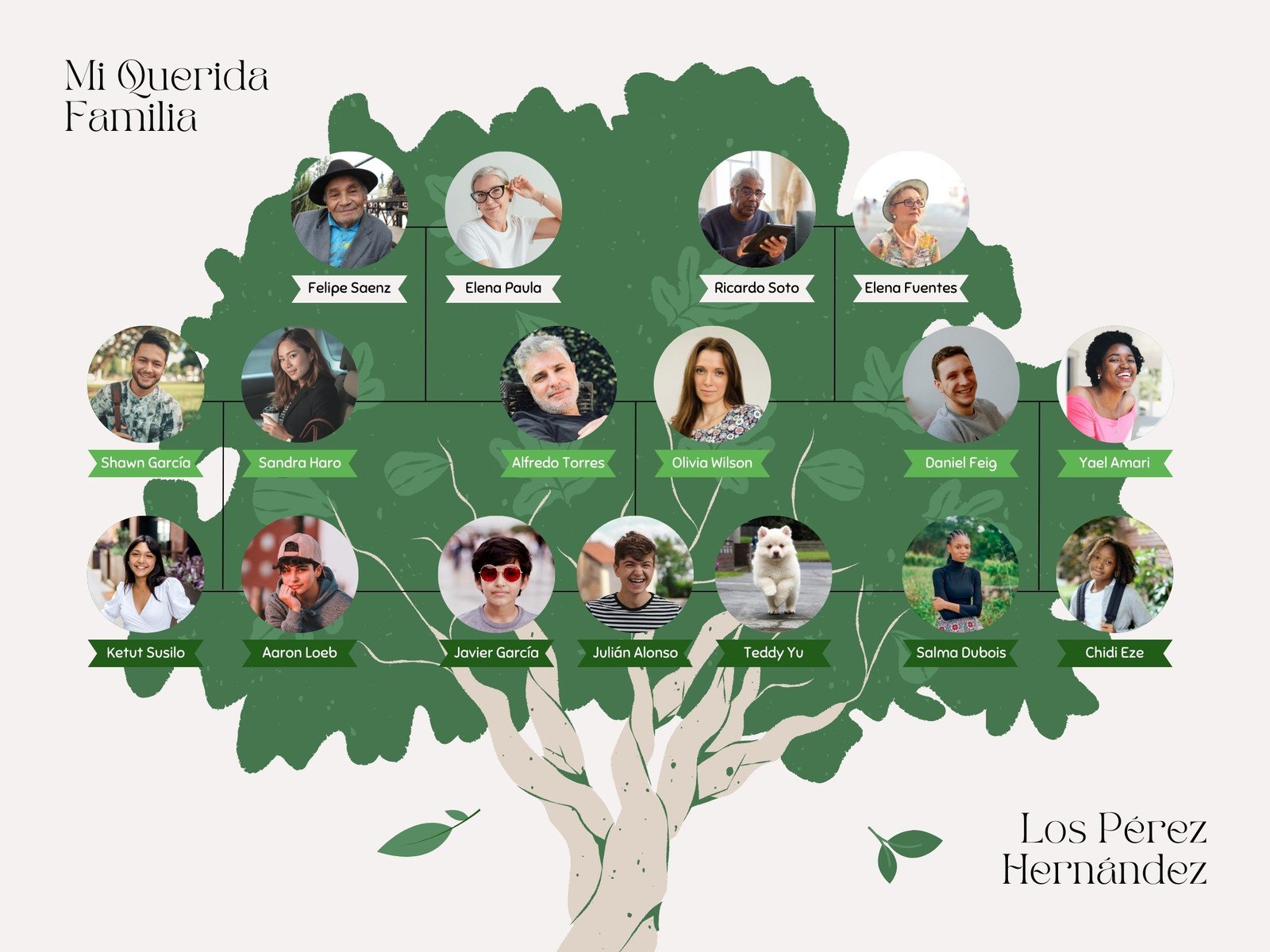 Árbol Genealógico Familiar Marco Fotos Ilustrado Verde