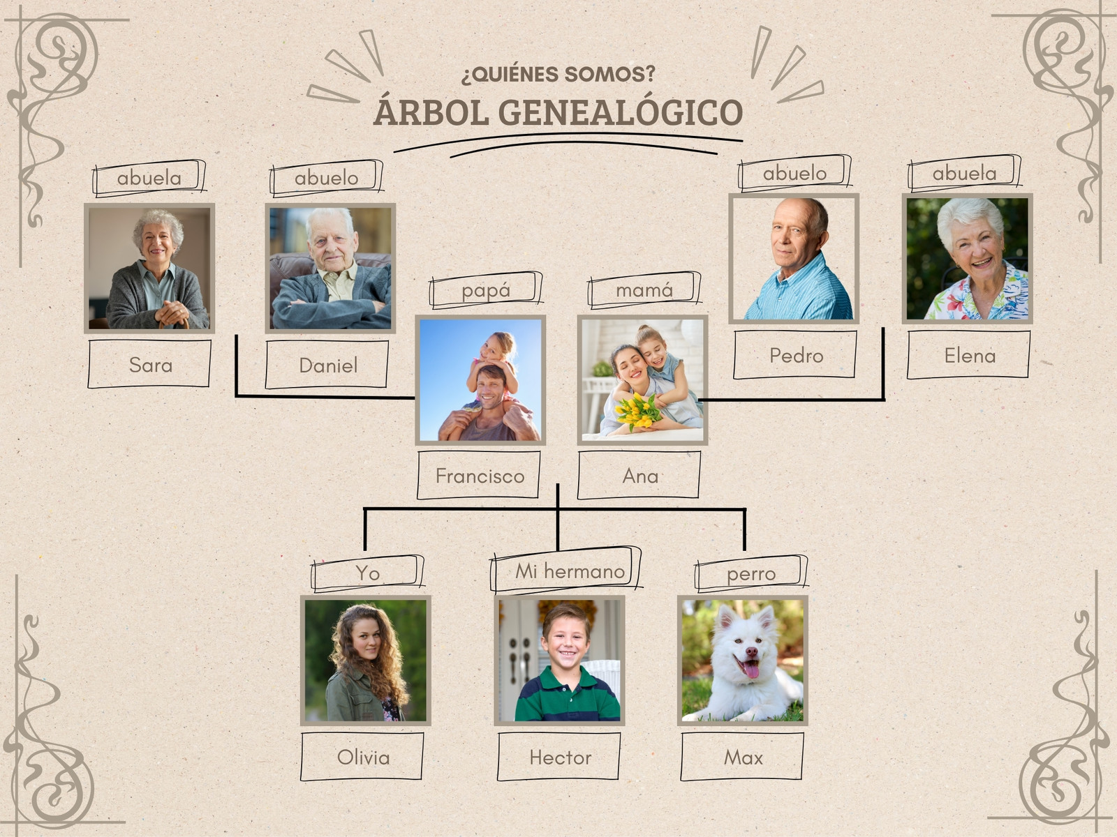Gráfico árbol genealógico educativo escolar con fotos color corcho marrón