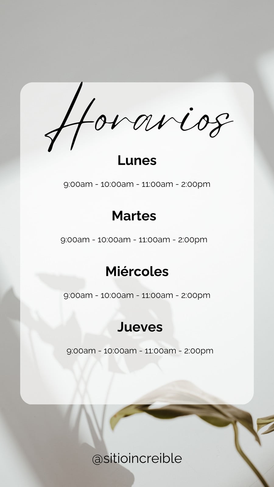 Historia Instagram horarios citas minimalista blanco