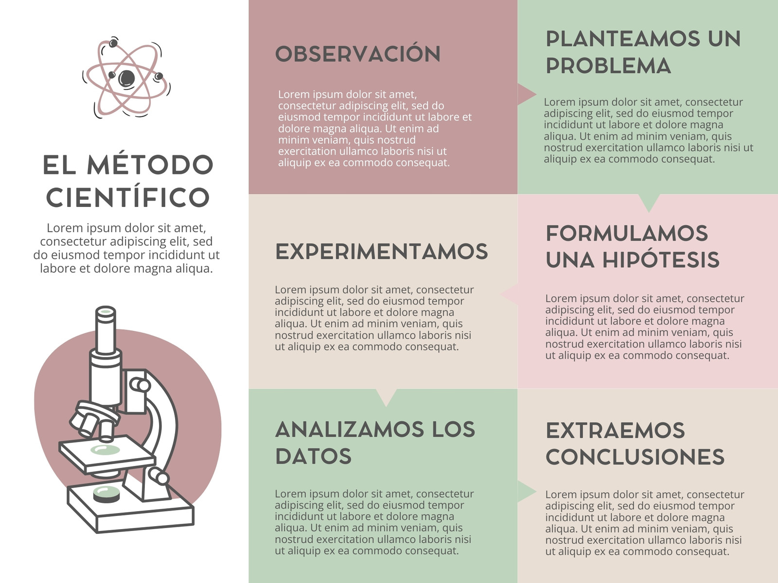 Gráfico Método Científico pasos pastel