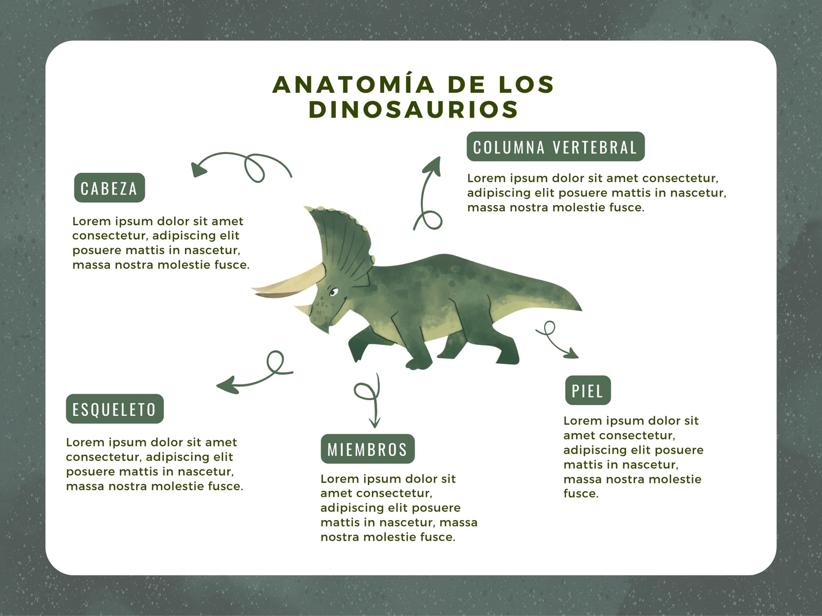 Gráfico Anatomía de los dinosaurios ilustración verde