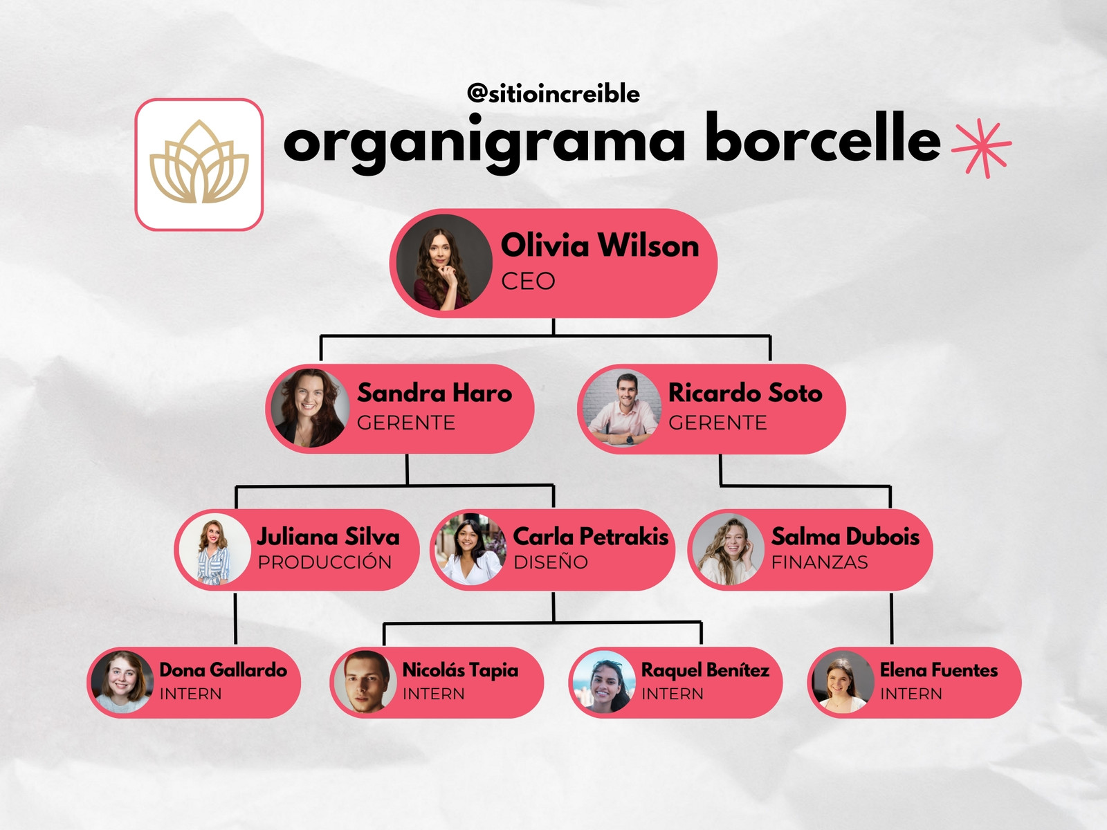 Gráfica Organigrama Empresa Garabatos Rosa y Blanco