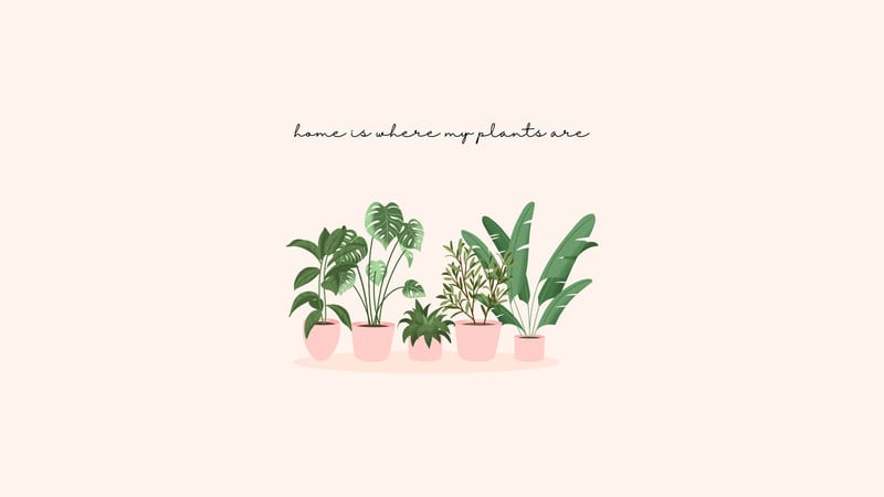 Free and customizable plant wallpaper templates | Canva
