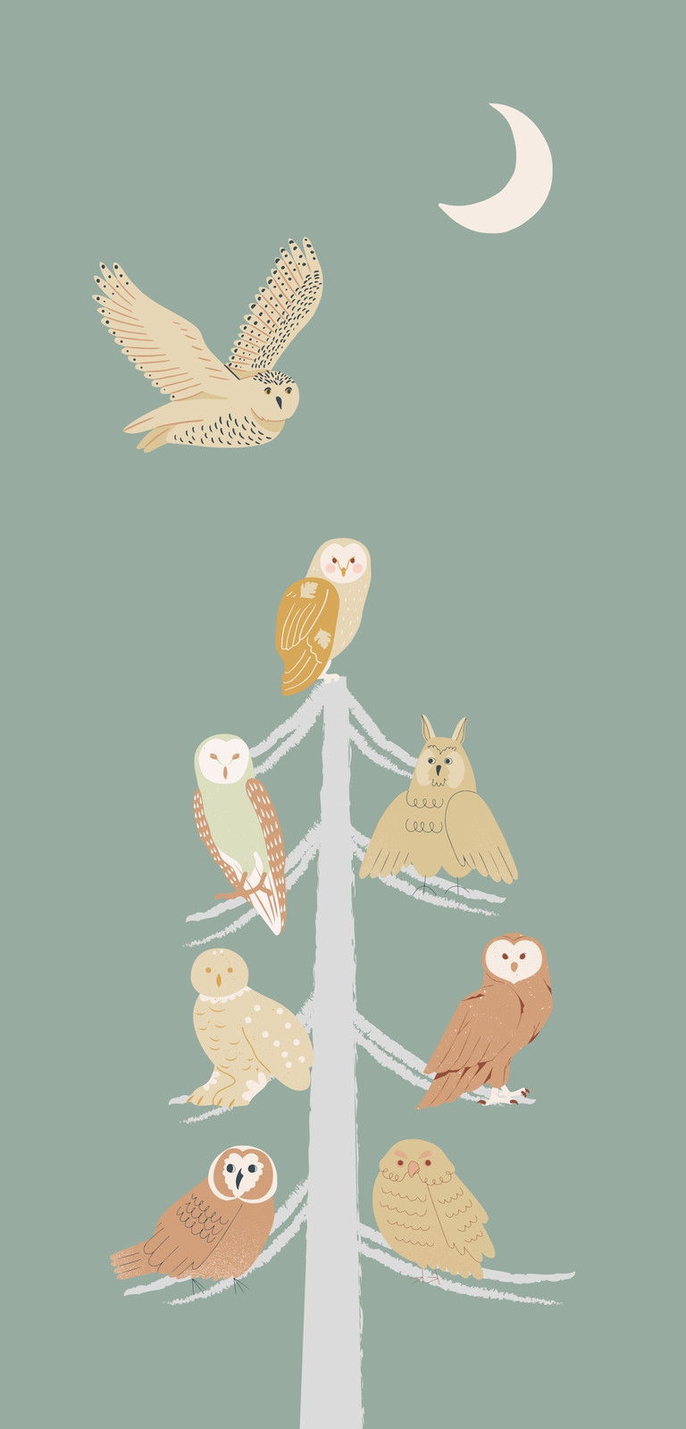 フクロウ無料テンプレートデザイン。イラストや画像付きも豊富 - Canva