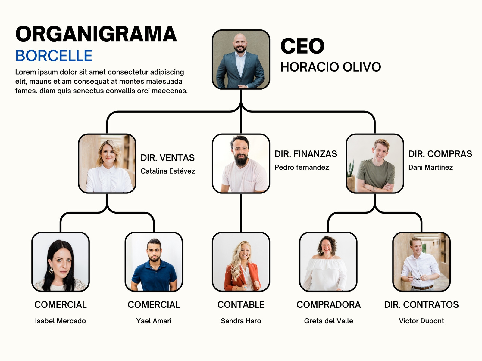 Gráfico Organigrama Empresa Profesional Sencillo Blanco