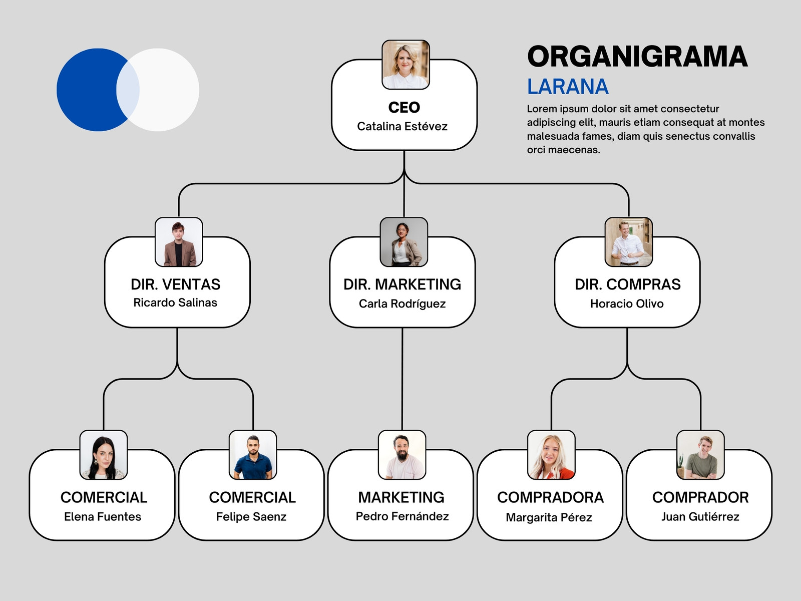 Organigrama Grafico Empresa Profesional Gris