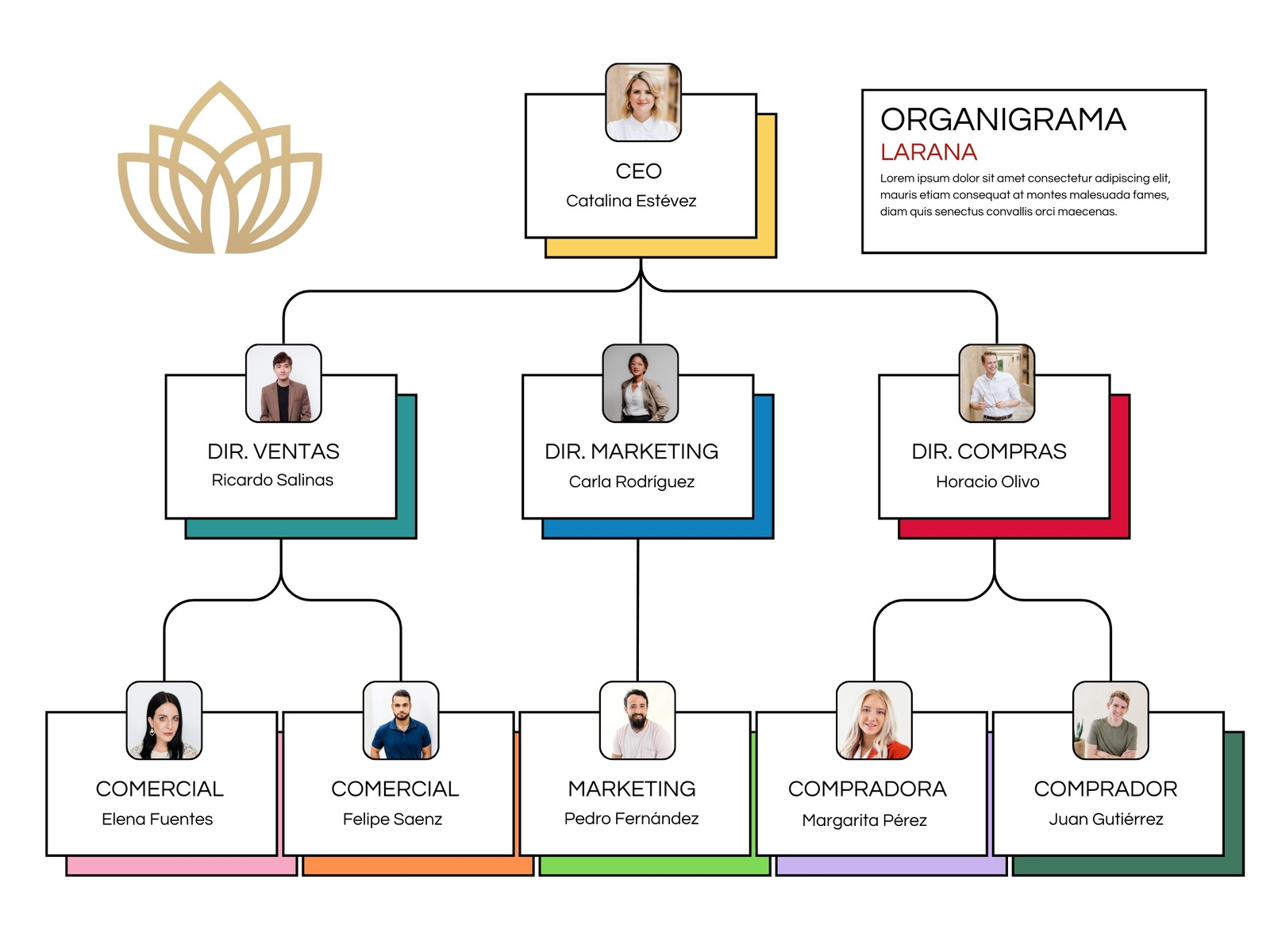 Organigrama Grafico Empresa Profesional Multicolor