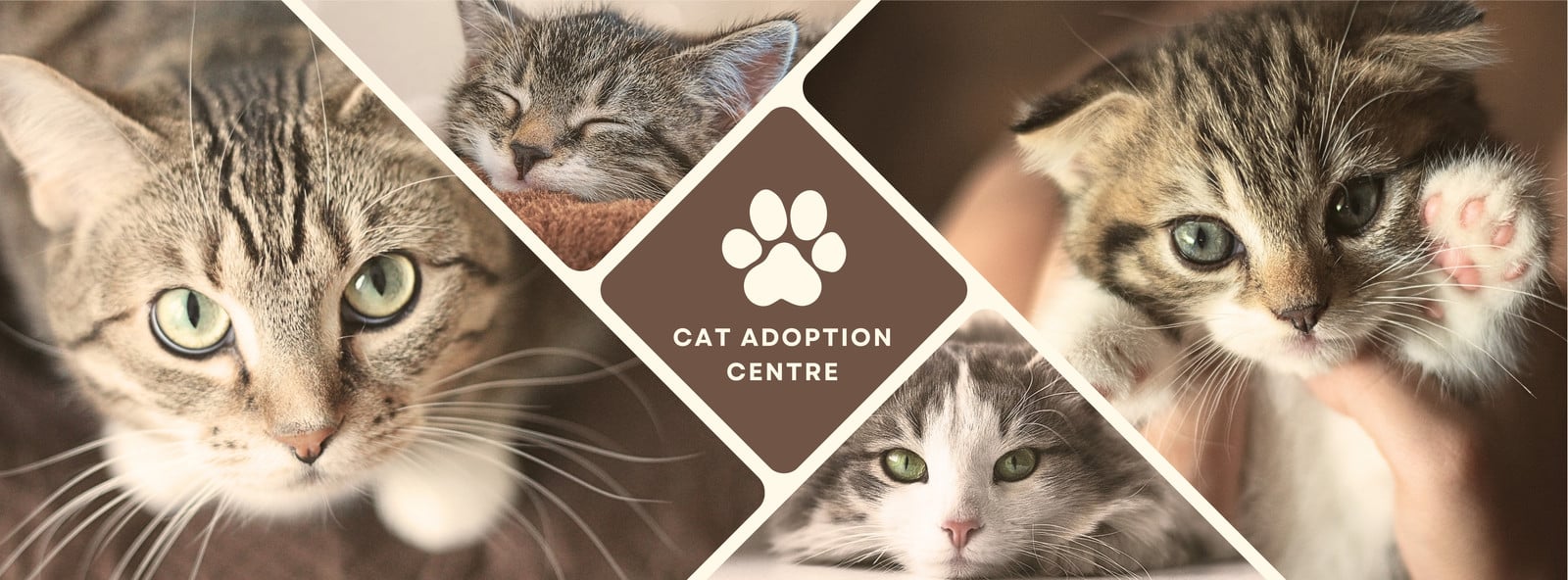 Brown Beige Photo Collage Cat Adoption Centre Facebook Cover