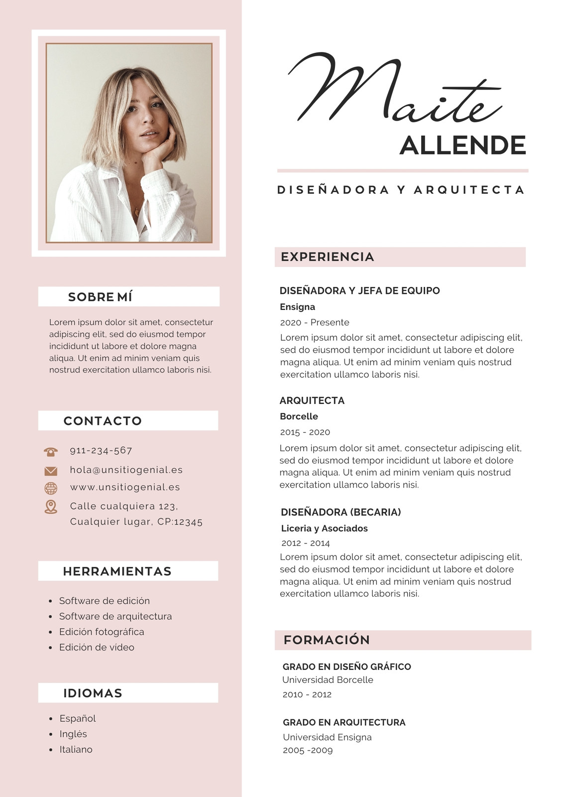 Plantillas De Curriculum Vitae Modernos Gratis Canva