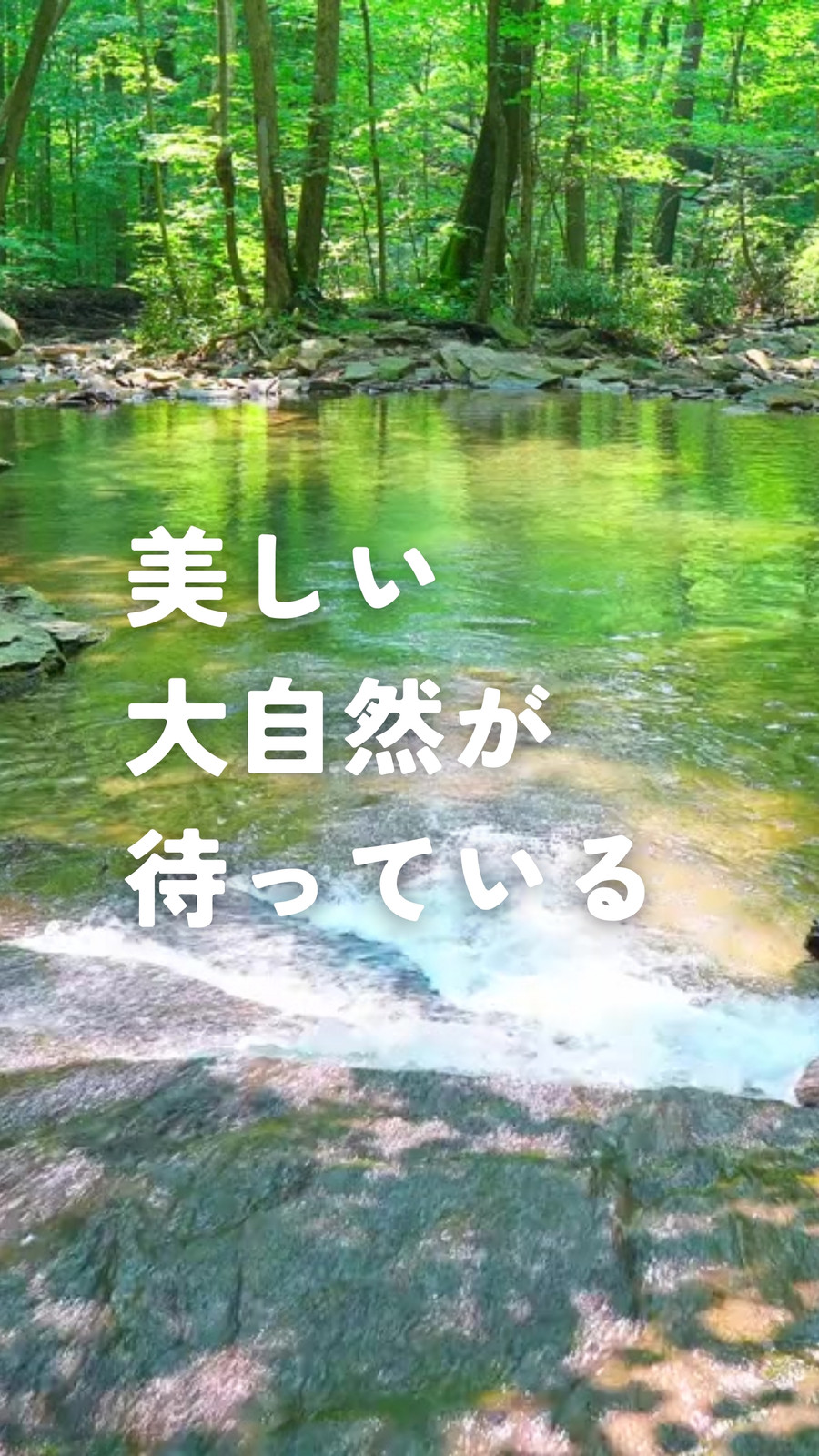 白と緑 シンプル レイアウト 文字 アニメーション 旅 Tiktok動画 白と緑 シンプル レイアウト 文字 アニメーション 旅 Tiktok動画