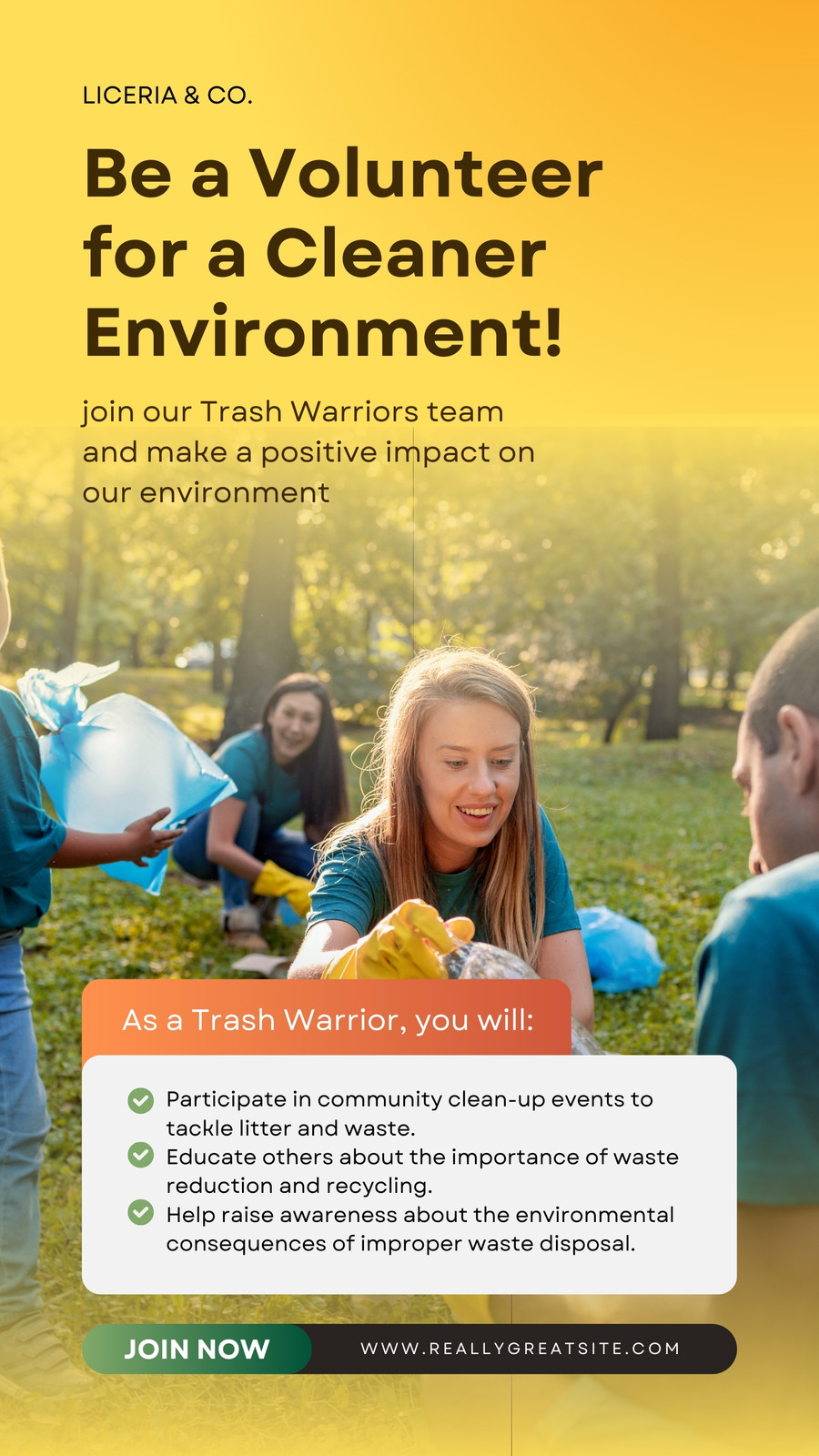 Volunteer Recruitment Instagram Story