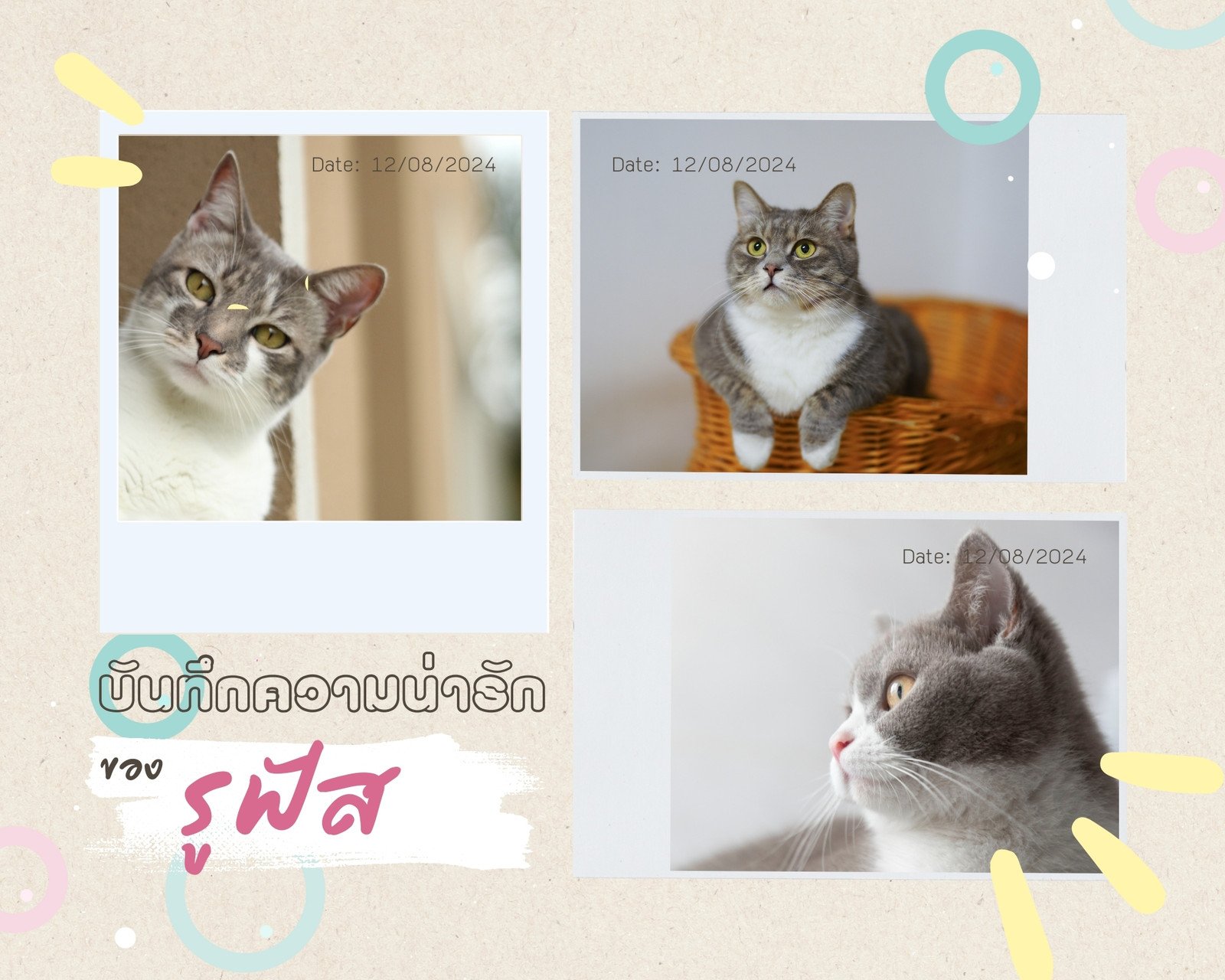 สีน้ำตาลอ่อน คอลลาจ น่ารัก บันทึกความน่ารัก คอลลาจภาพถ่าย