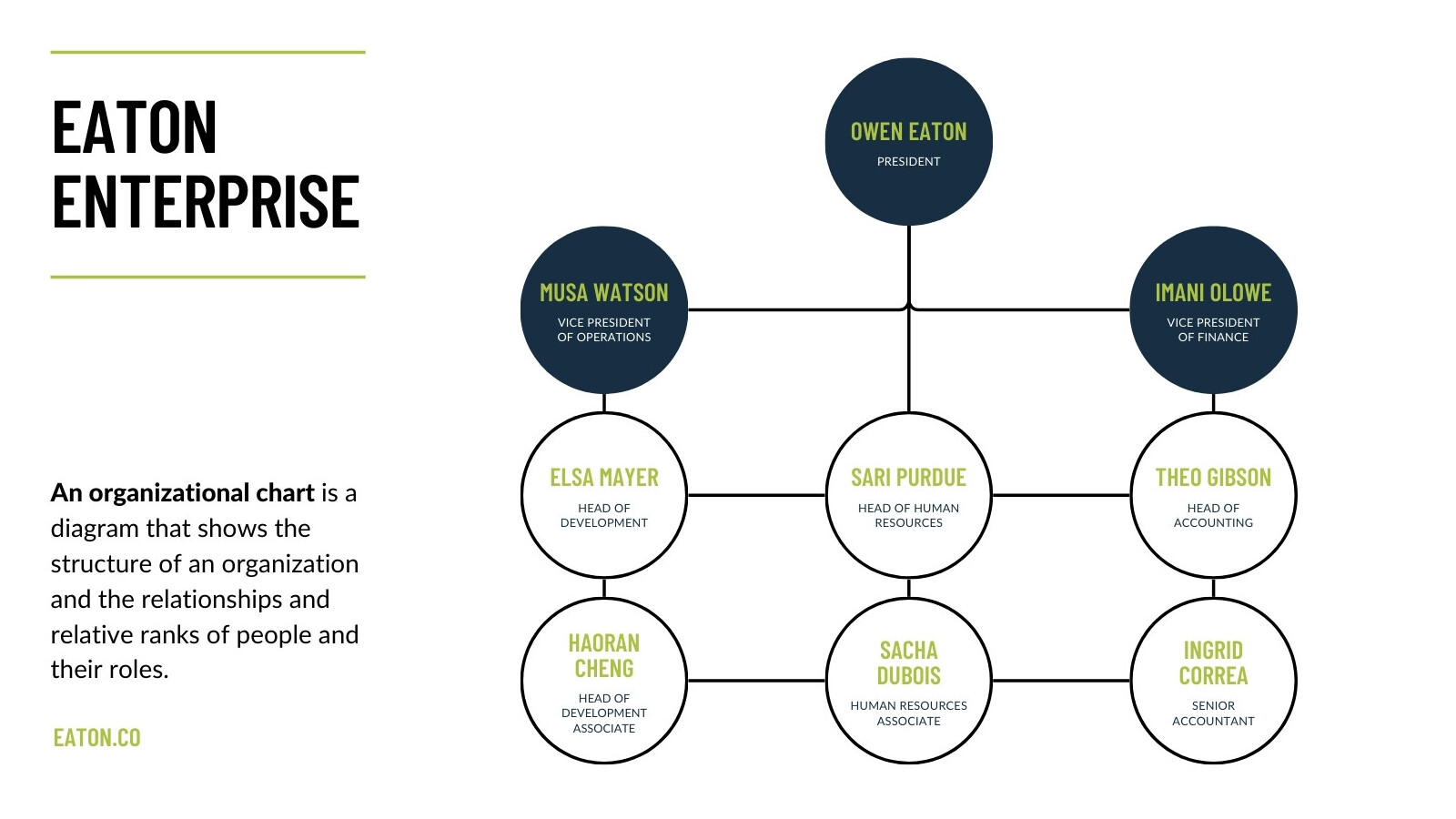 Organizational Chart Team Whiteboard in Pastel Green Dark Blue Friendly Professional Style