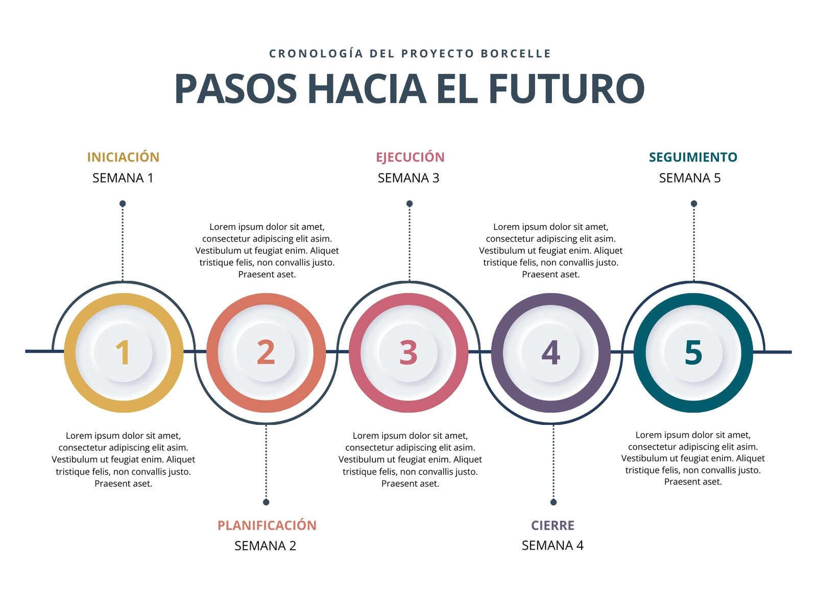 Gráfico Línea de Tiempo Plan de Negocio Profesional Multicolor