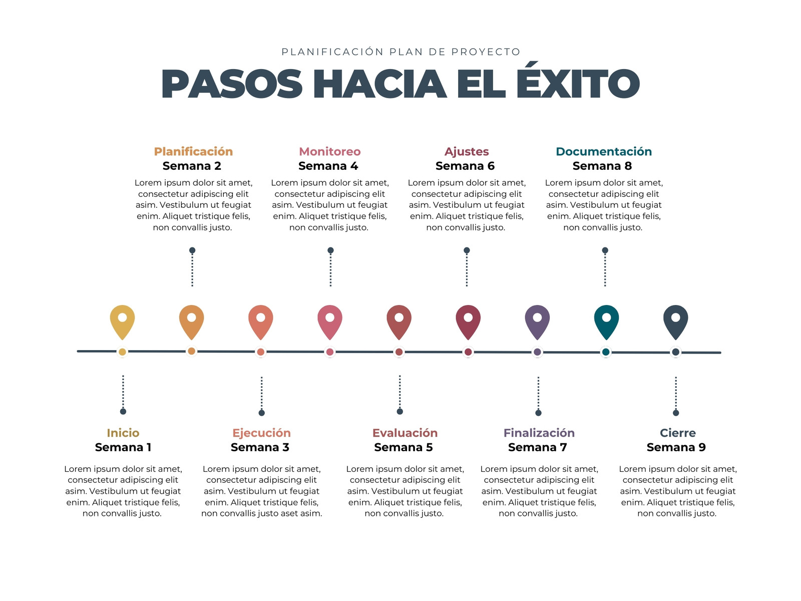 Gráfico Línea de Tiempo Plan de Negocio Profesional Multicolor