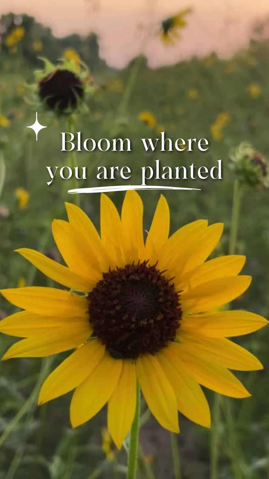 Yellow green aesthetic modern quotes motivation instagram reel