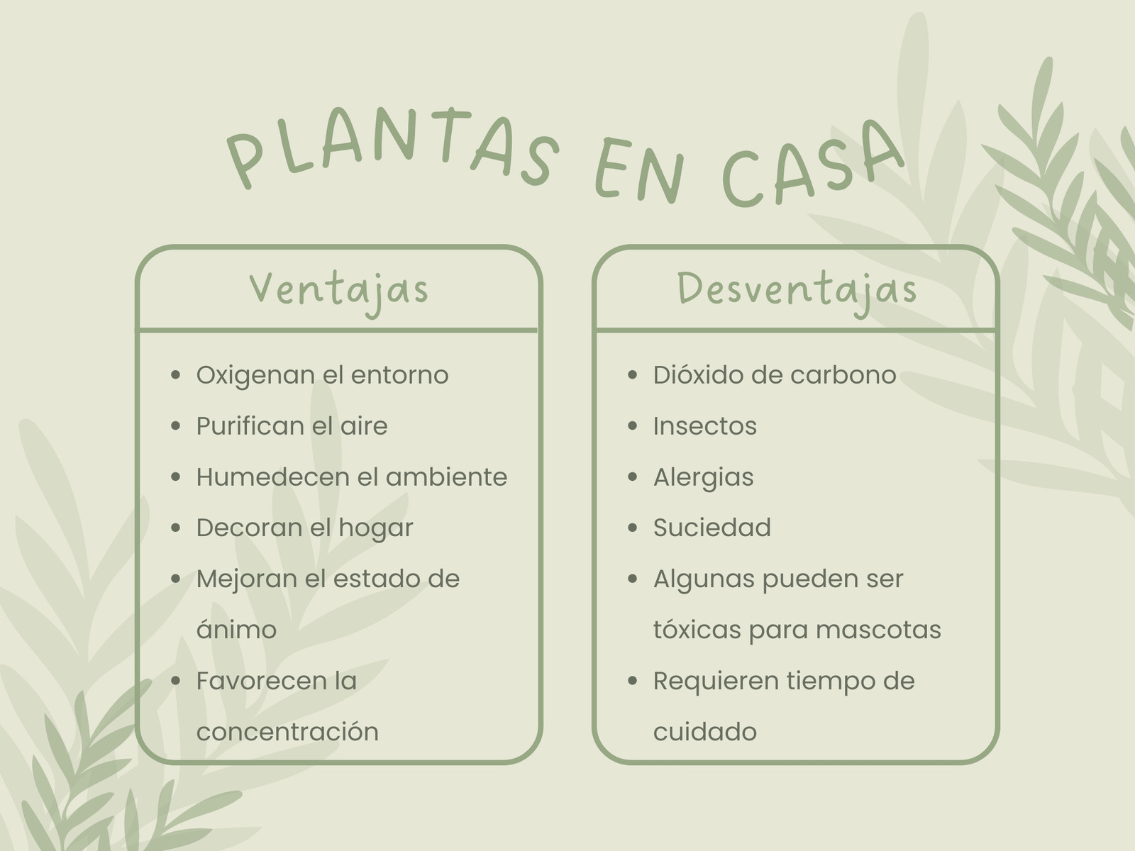 Cuadro Comparativo Plantas Minimalista Verde Claro