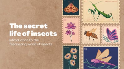 Favorite Insect Template Free and customizable insect templates