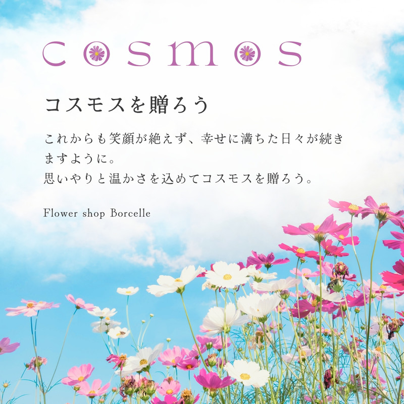 コスモス無料テンプレートデザイン。イラストや画像付きも豊富 - Canva