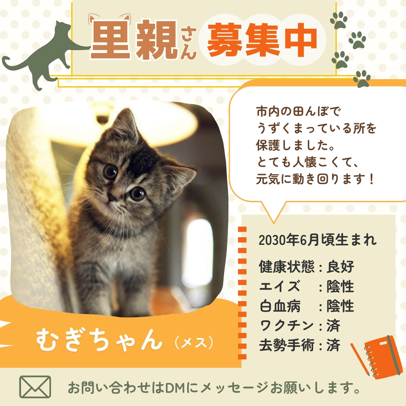 里親募集無料テンプレートデザイン。イラストや画像付きも豊富 - Canva