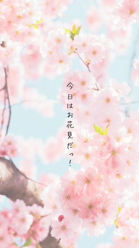 お花見イラスト・画像・テンプレート