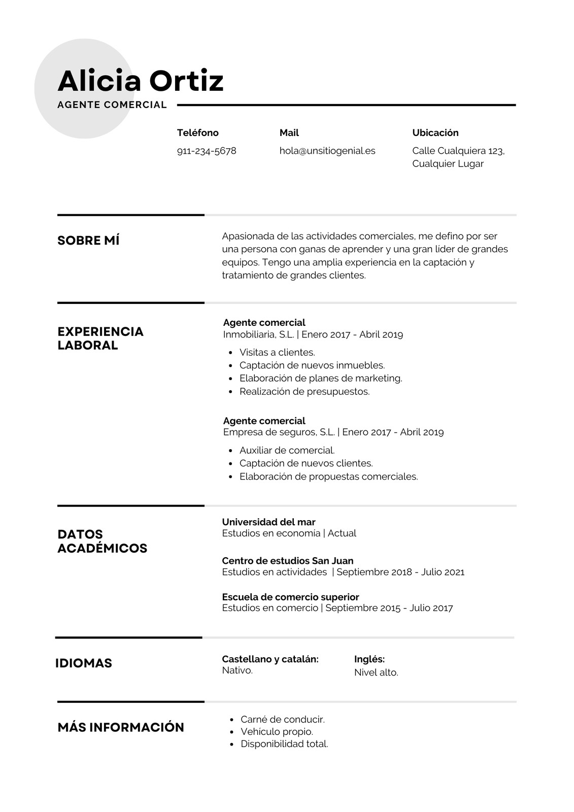 Currículum Agente comercial Profesional Gris