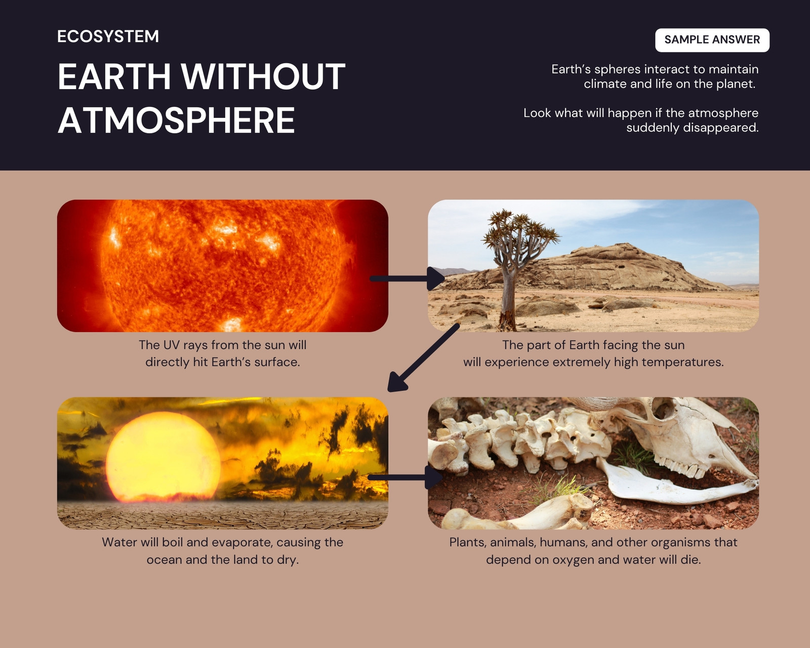 Earth and its Systems Storyboard in Brown Black Clean Style