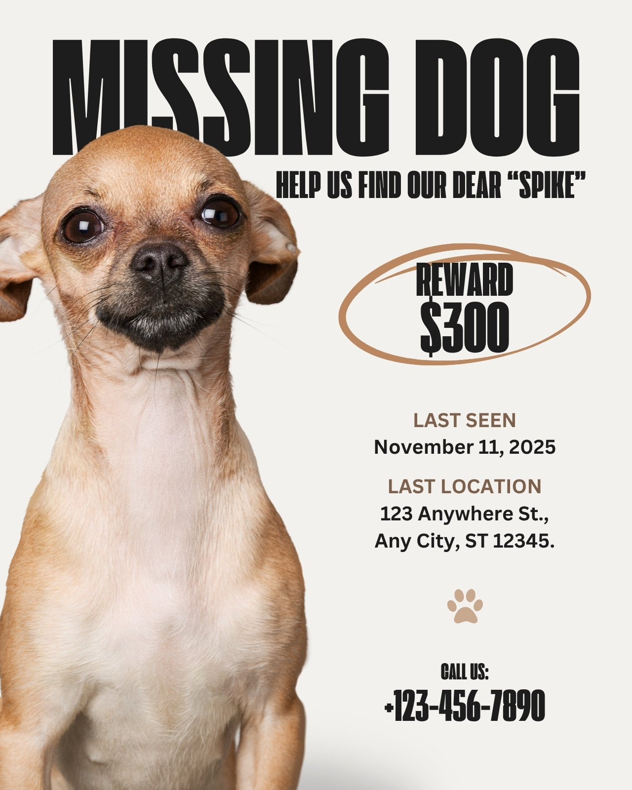 Beige Modern Missing Dog Instagram Post