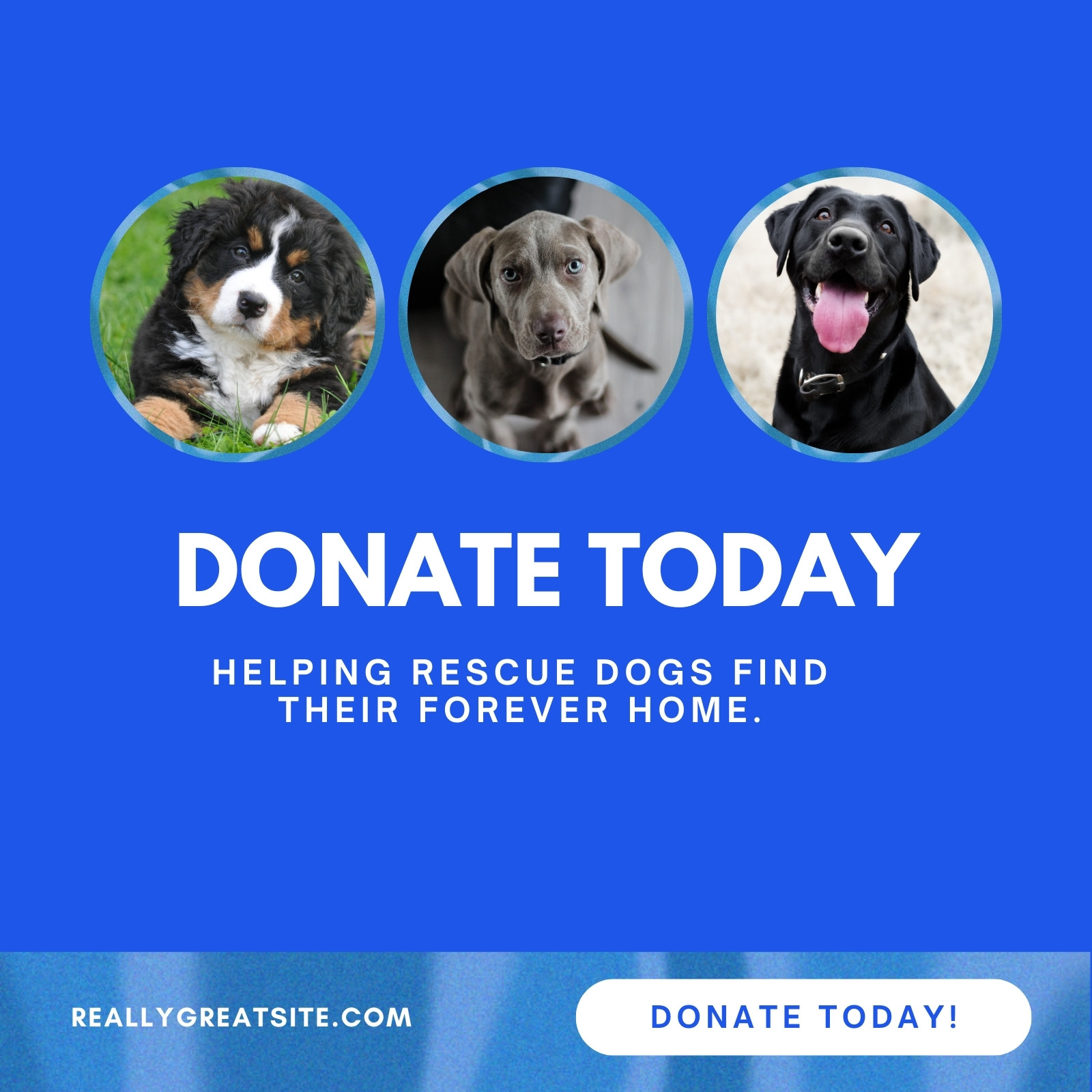 Blue Bold Donate LinkedIn Post