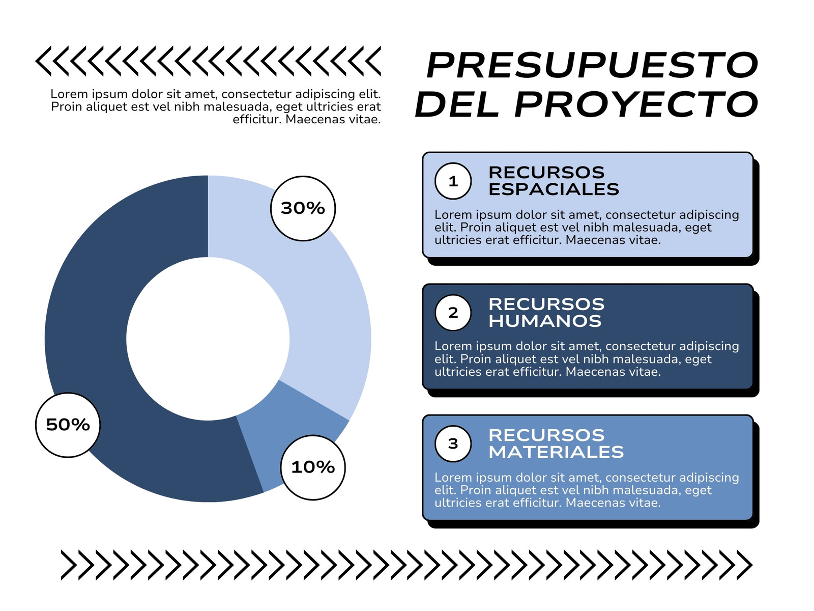 Gráfico Informe Presupuesto de Proyecto Corporativo y Profesional Azul y Blanco