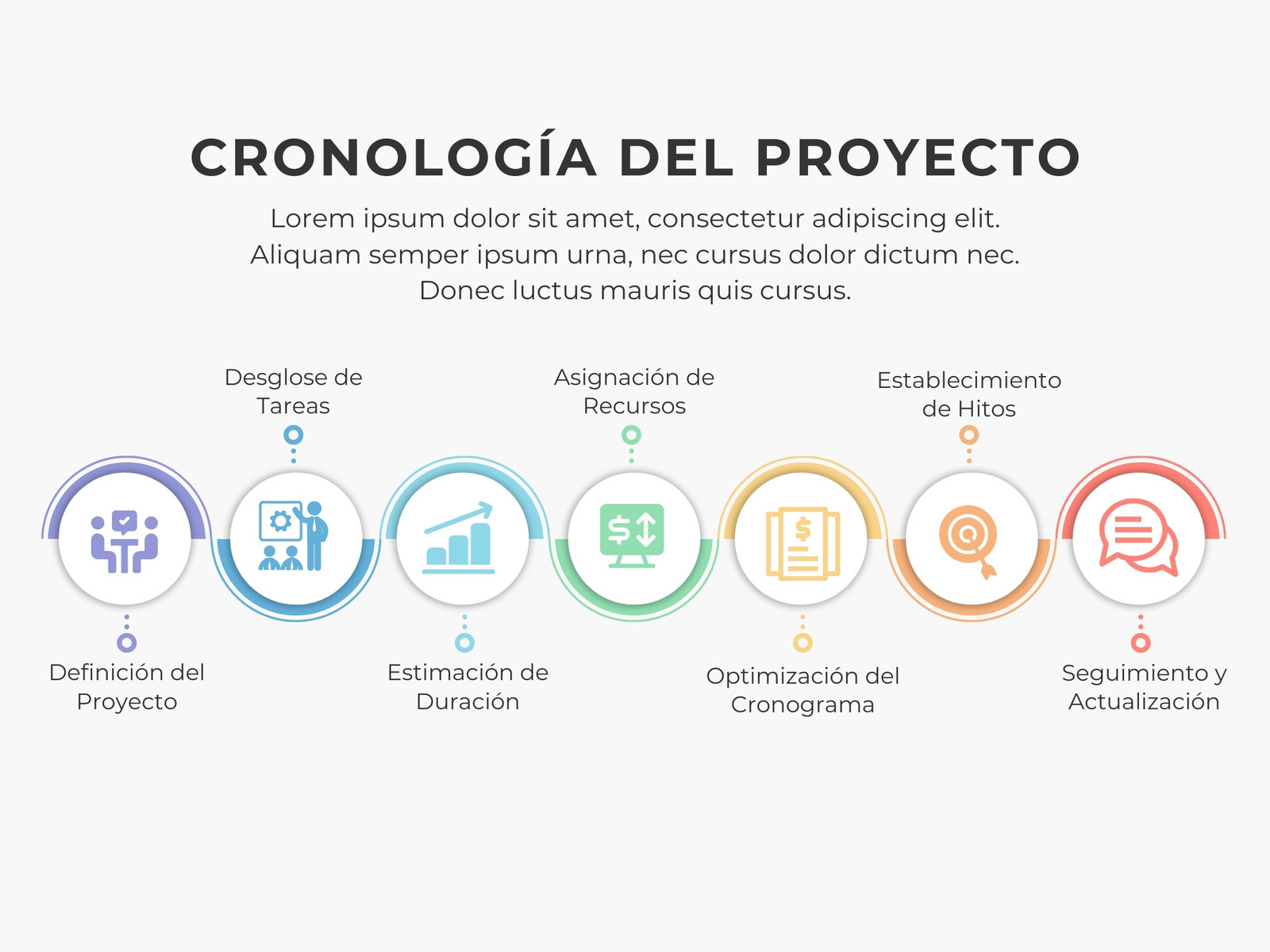 Grafico cronología del proyecto de negocio corporativo profesional multicolor