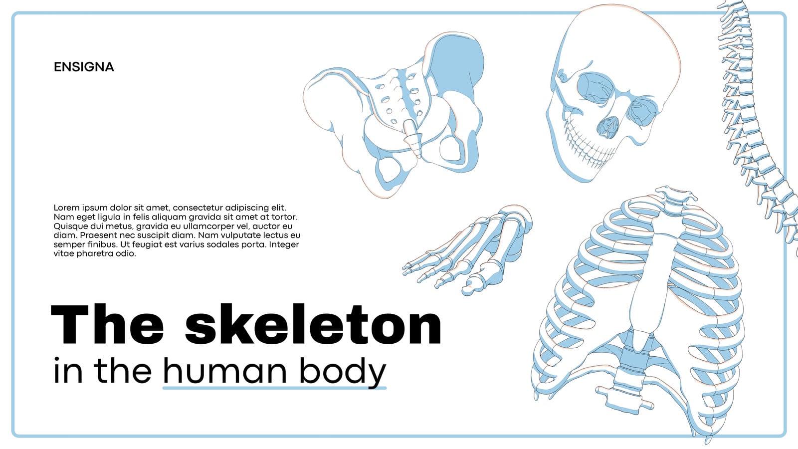 Skeleton Slide Examples Free and customizable skeleton templates