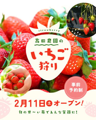 （８ｃｍ）春菜いちご／風のように　春のように／自主制作／スワンプポップス Paix2(ぺぺ) / 風のように 春のように - YouTube