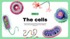 Free and customizable cell templates