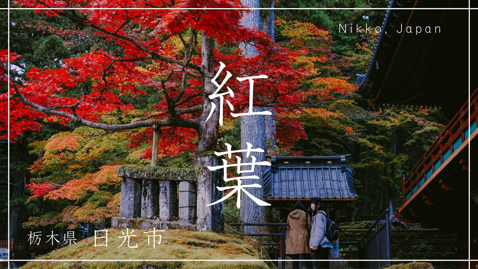 紅葉無料テンプレートデザイン。イラストや画像付きも豊富 - Canva