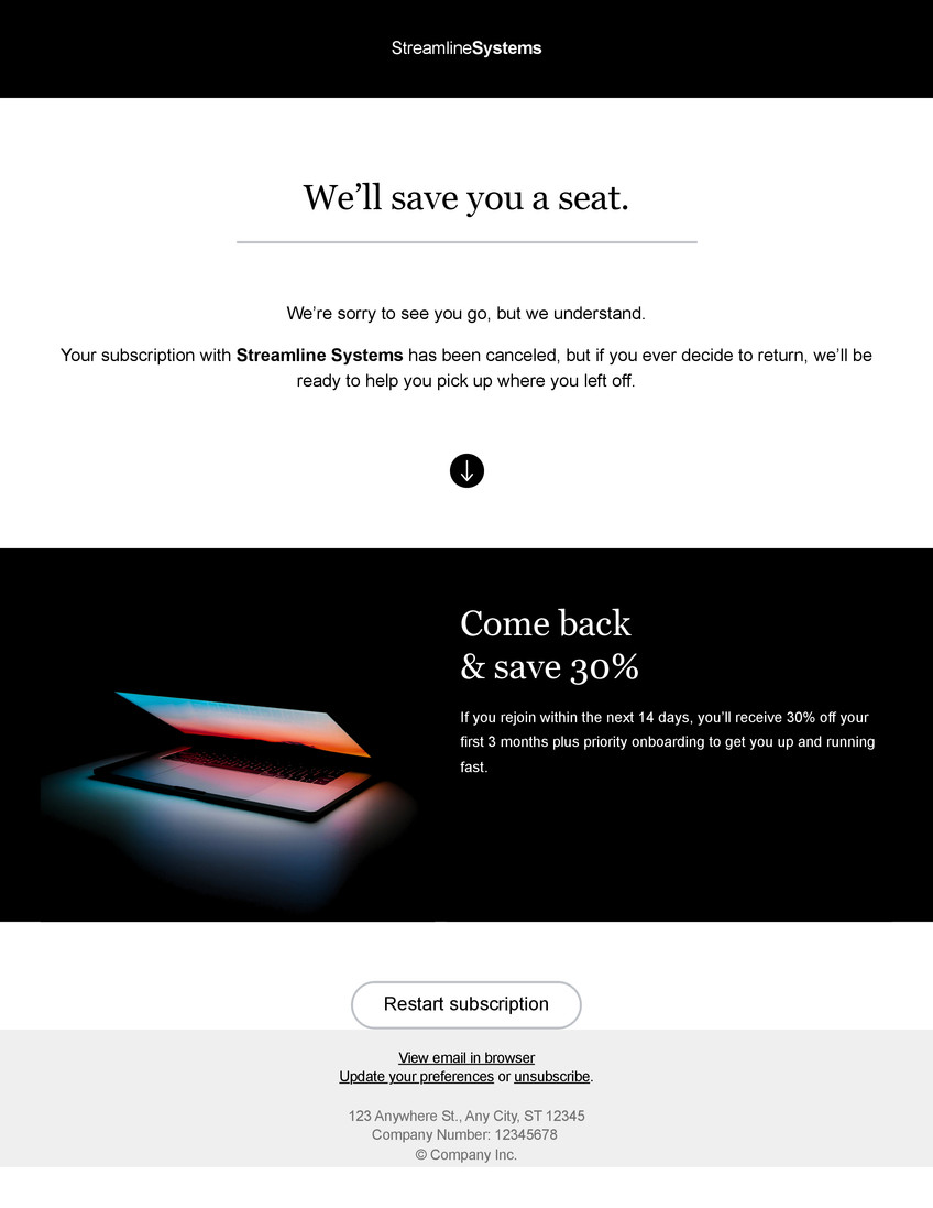 Software & SaaS B2B Email in Black and White Grey Bare Minimal Style
