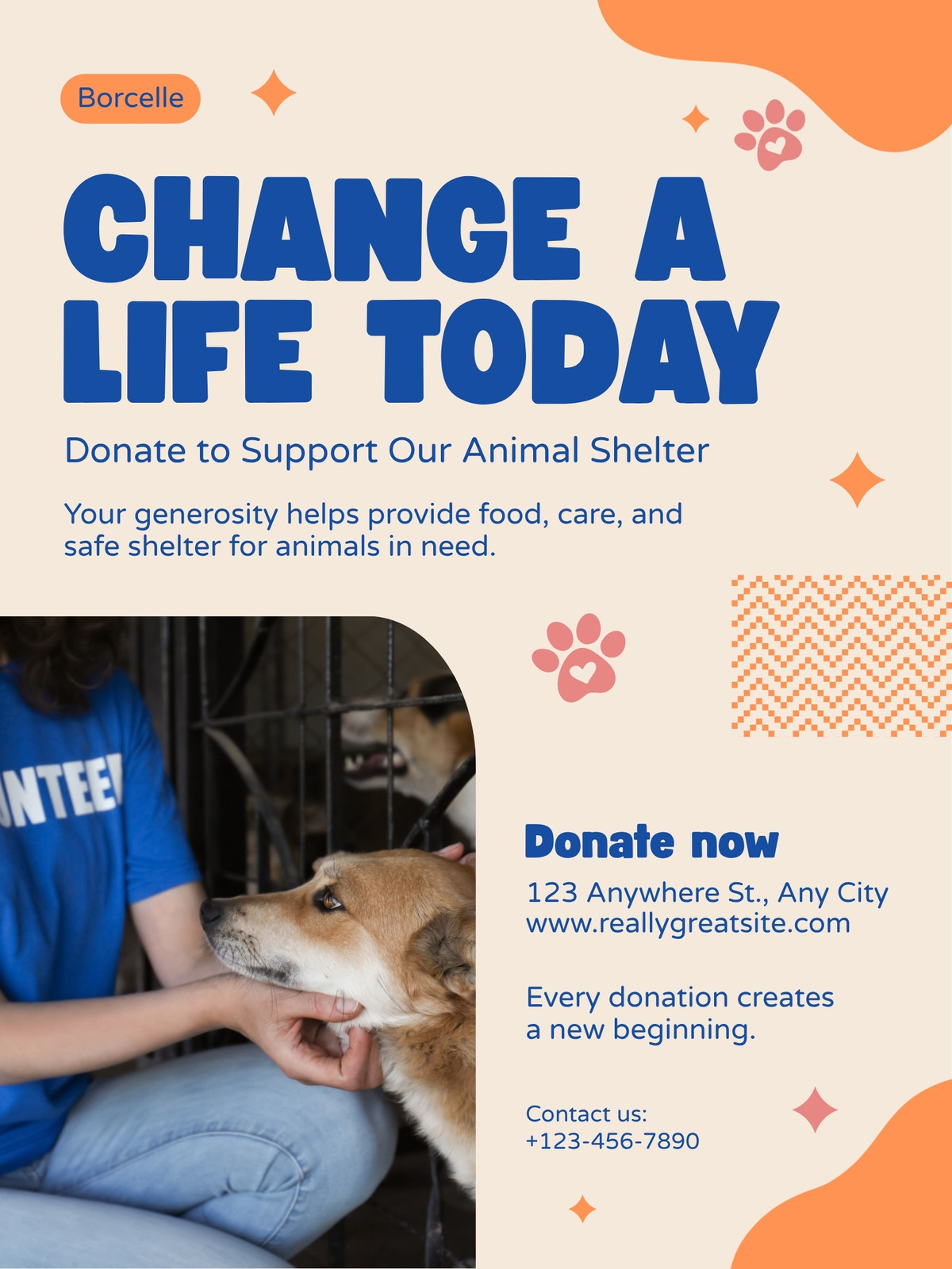 Blue And Orange Bright Support Animal Shelter Donation Instagram Post
