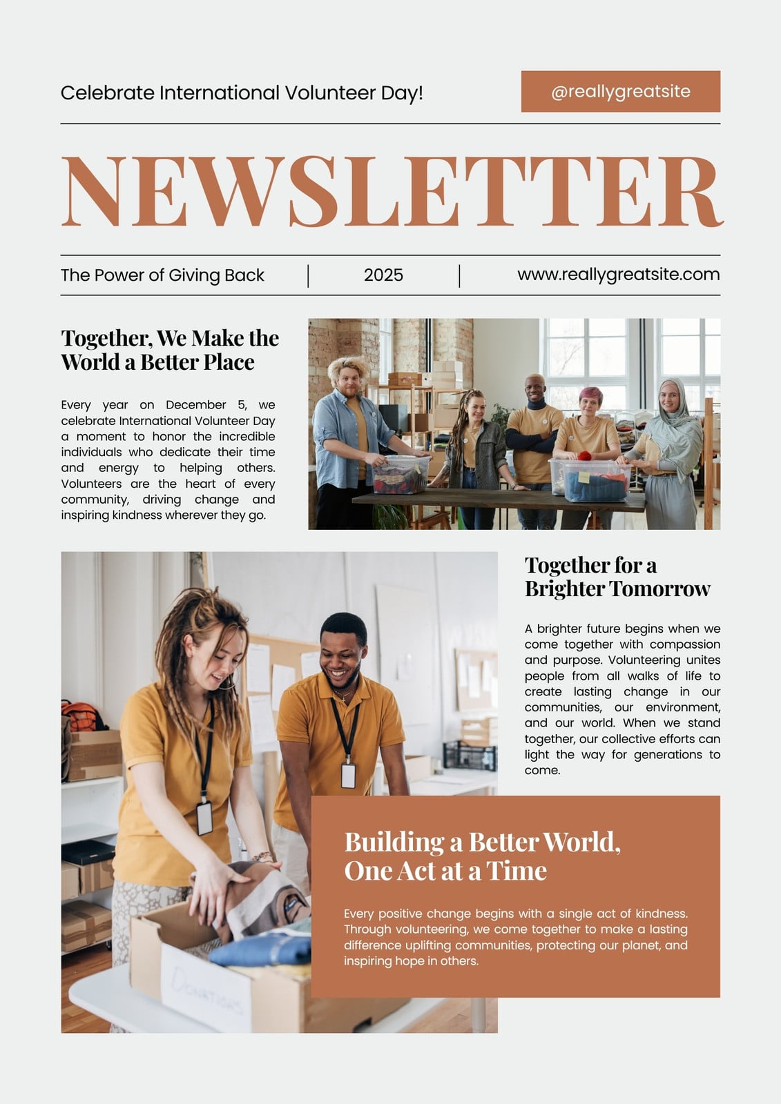 White Brown Simple International Volunteer Day Newsletter