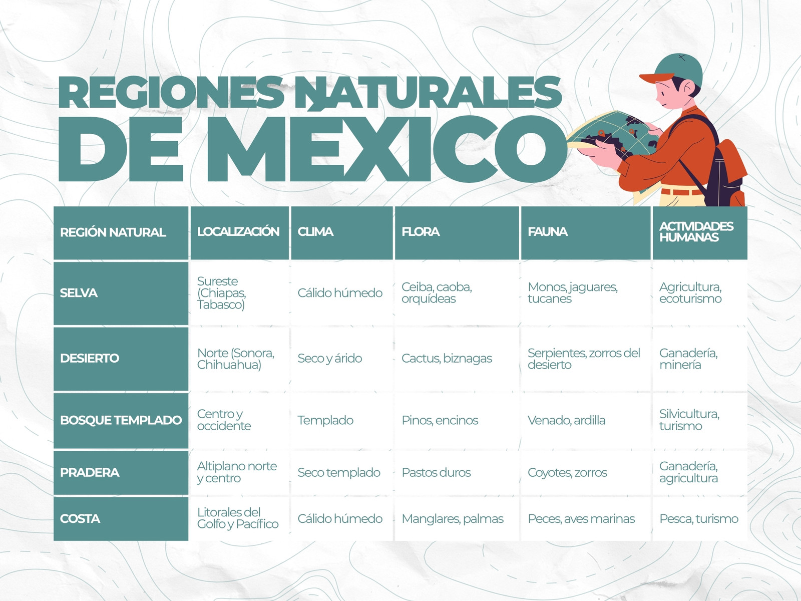 Gráfica de regiones naturales de México ilustrativo verde y gris