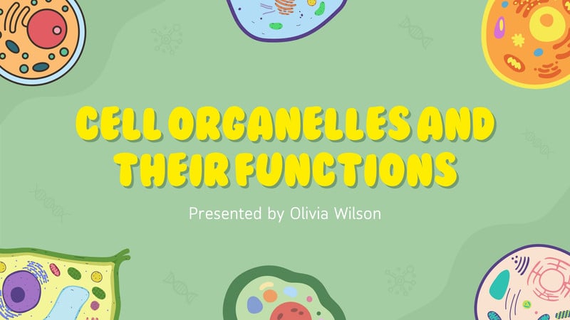 Free and customizable cell templates