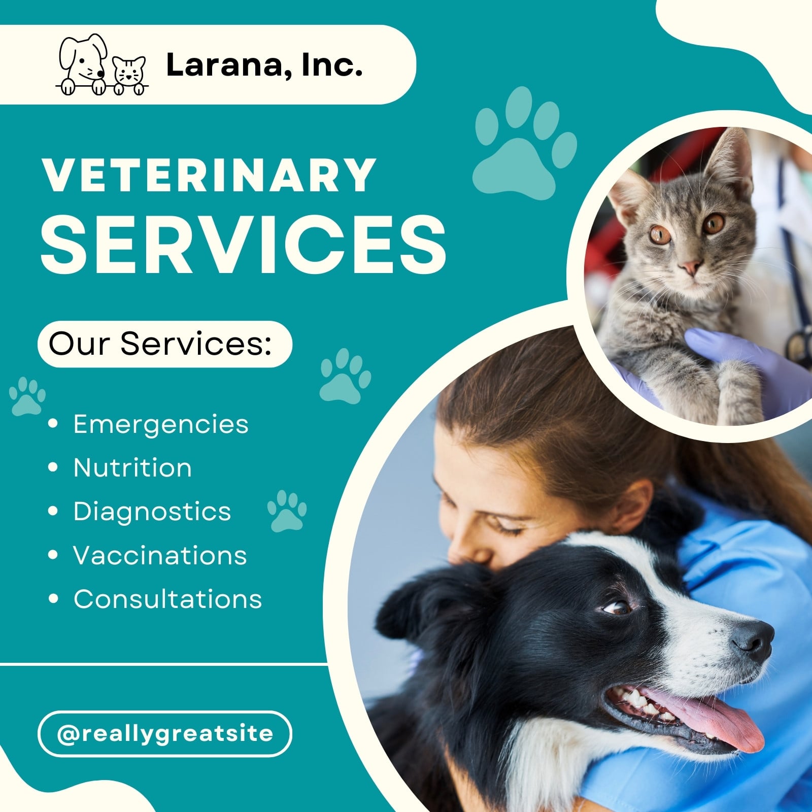 Blue Veterinary Modern Facebook Post 