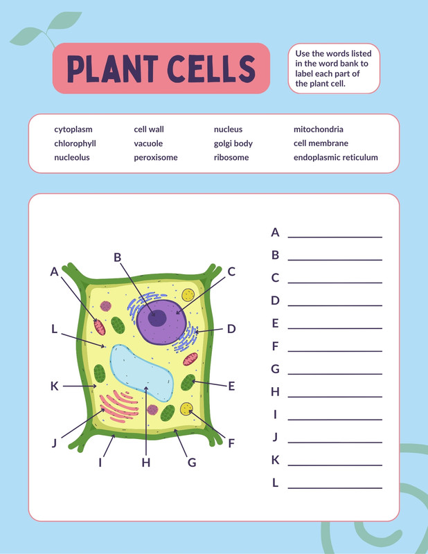thumbnail image 2 of CellCraft Animal Cell & Plant Cell Poster Set - 2 Bahrain 2 of 13