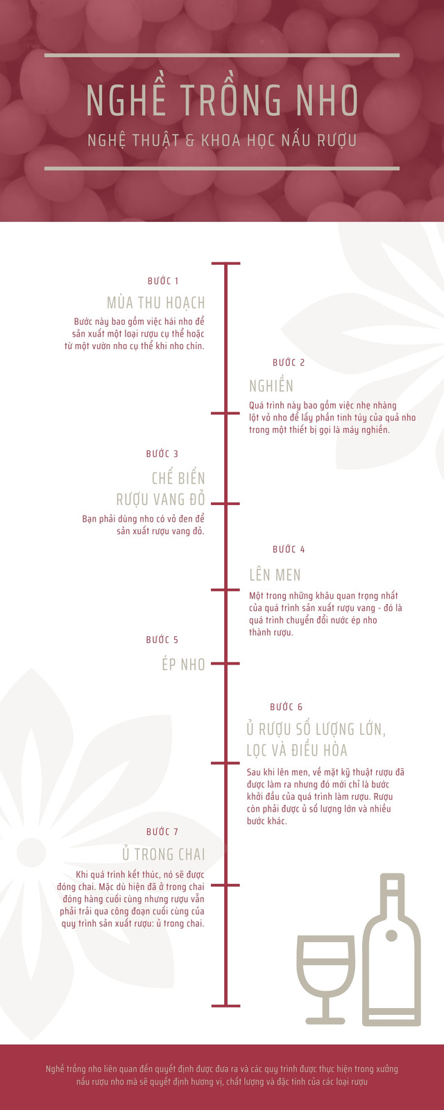 Infographic Dòng thời gian Rượu vang Đỏ Đơn giản