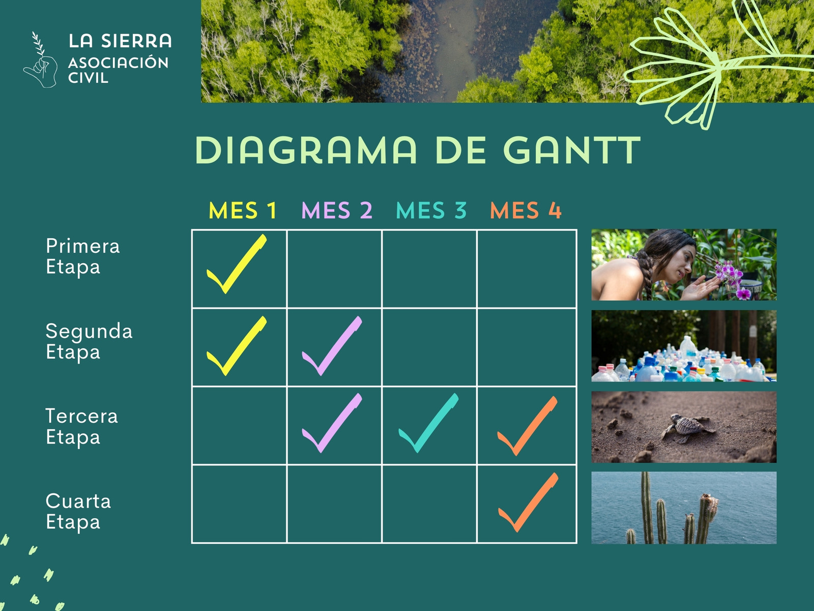 Grafica Diagrama de Gantt Con Fotos Verde